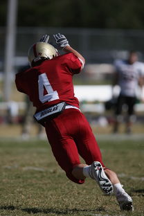 九游游戏中心官网-校园足球支持学生裁判项目拓展多元职业通路，普通高校足球专业学生裁判能力的培养